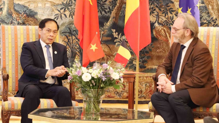Phó Thủ tướng Bùi Thanh Sơn gặp Chủ tịch Hạ viện Liên bang Bỉ