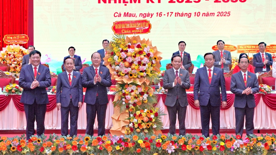 Danh sách Ban Chấp hành, Ban Thường vụ Tỉnh ủy Cà Mau nhiệm kỳ 2025-2030