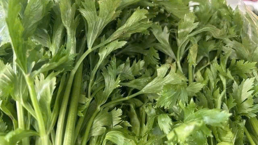 Cần tây - Lợi ích sức khỏe và giá trị dinh dưỡng