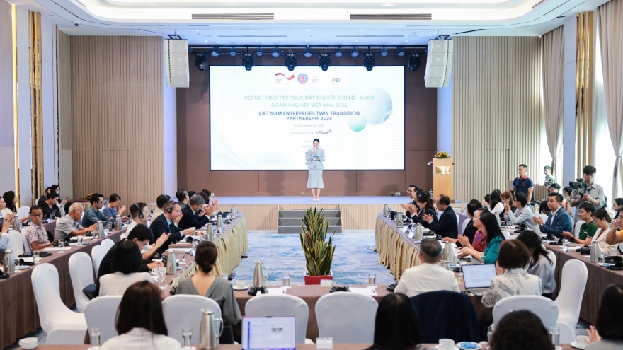 Experts warn Vietnamese enterprises lag in dual transformation efforts