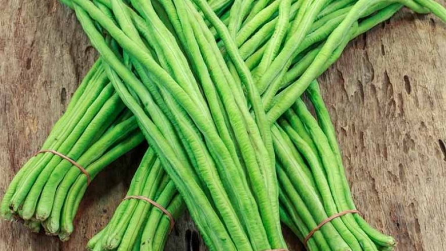 Đậu đũa và những lợi ích sức khỏe ít ai biết