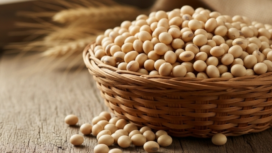 Sai lầm cần tránh khi uống sữa đậu nành