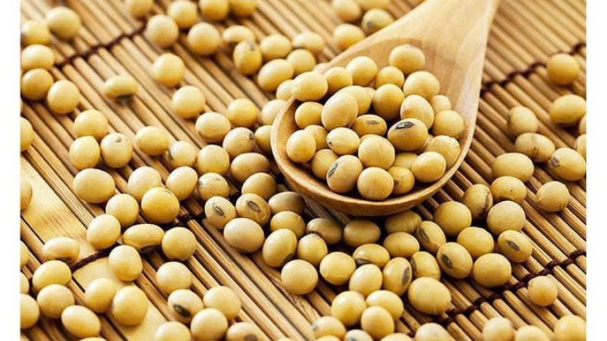 Đậu nành - nguồn dinh dưỡng vàng với 6 lợi ích ít ai ngờ