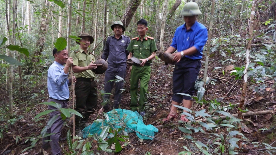 Vườn Quốc gia Kon Ka Kinh thả 4 cá thể động vật quý hiếm về rừng