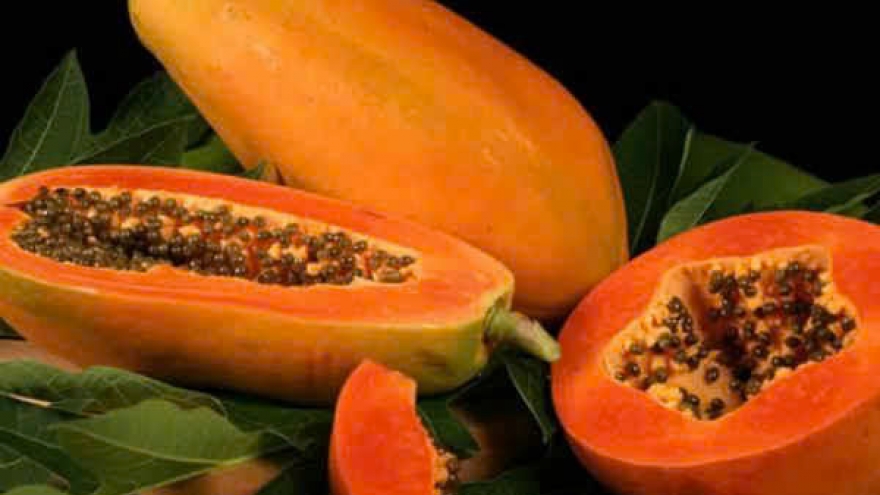 Đu đủ: Trái cây quen thuộc mà công dụng không ngờ