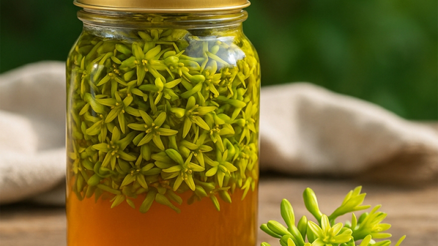 Cách ngâm hoa đu đủ đực với mật ong để trị ho, viêm họng