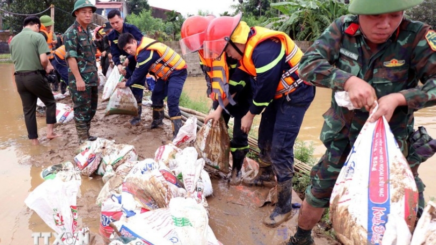 Protecting dykes – a must in disaster response