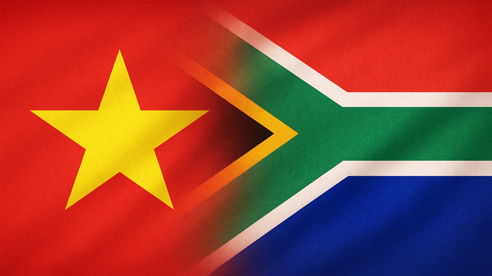 Vietnam-South Africa partnership for cooperation and development in focus