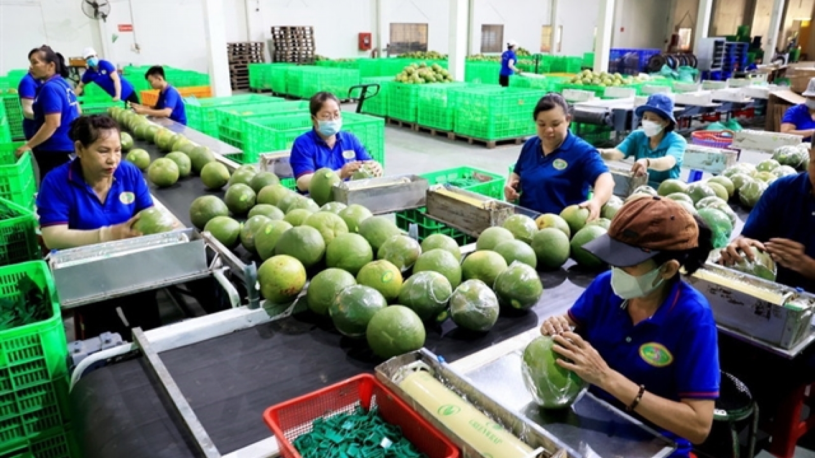 Product origin management adds value to Vietnamese products