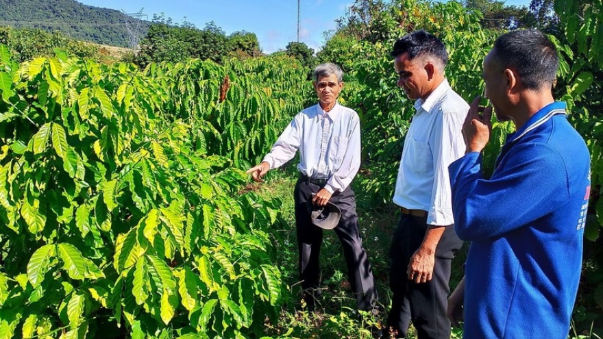 Day for the Poor: Igniting the will to promote internal strength to escape poverty