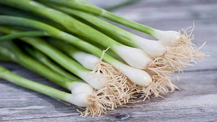 Giá trị dinh dưỡng và những lợi ích tuyệt vời của hành lá