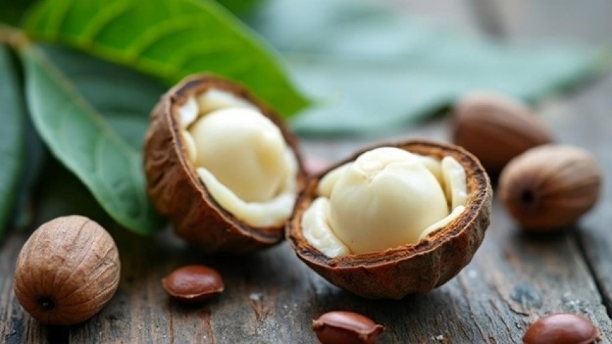 Là “nữ hoàng các loại hạt” nhưng macca lại có thể gây hại cho những người này