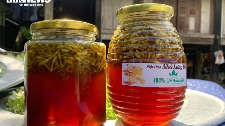 Hoa đu đủ đực ngâm mật ong có chữa được ung thư?