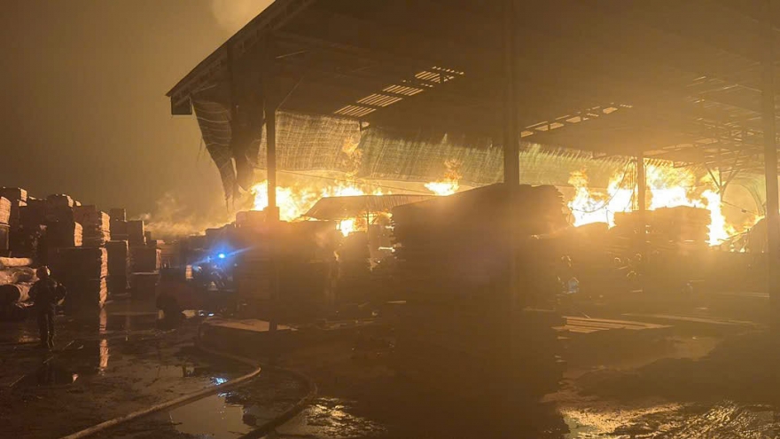 Cháy công ty gỗ ở TP.HCM, 1 người được cứu thoát