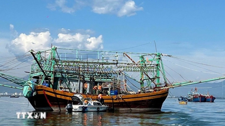 Vietnam’s fight against IUU fishing coupled with sustainable fisheries development