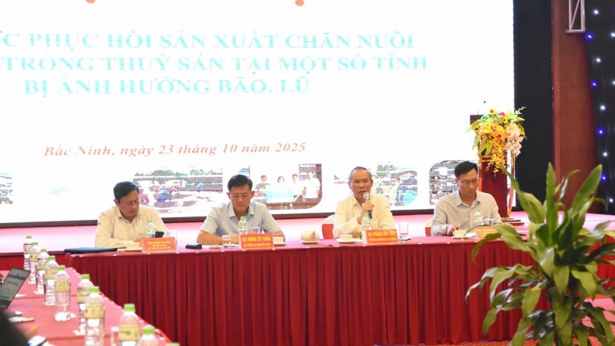 Cùng nông dân khôi phục chuồng trại, gây dựng sinh kế sau bão lũ