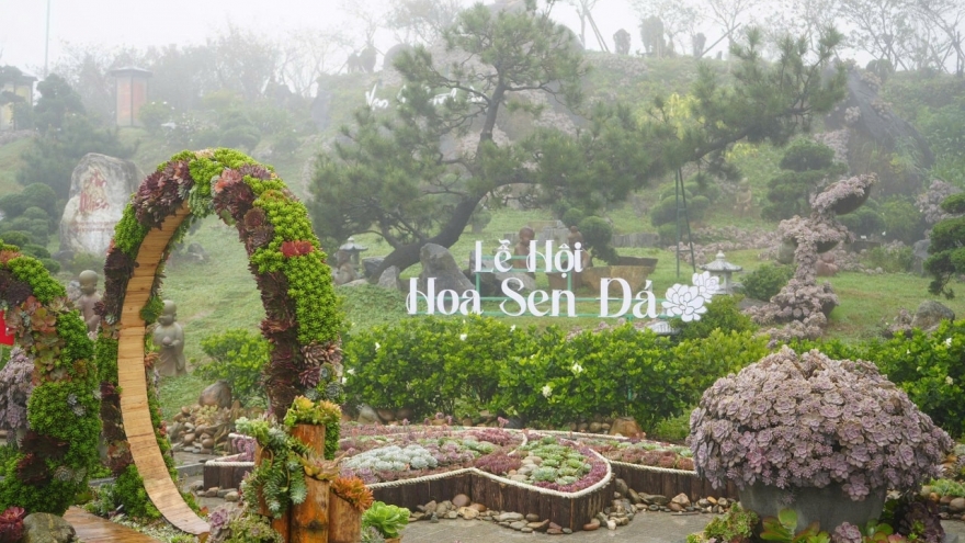 Sa Pa rực rỡ khai mạc Lễ hội mùa Đông và Lễ hội Hoa Sen Đá 2025