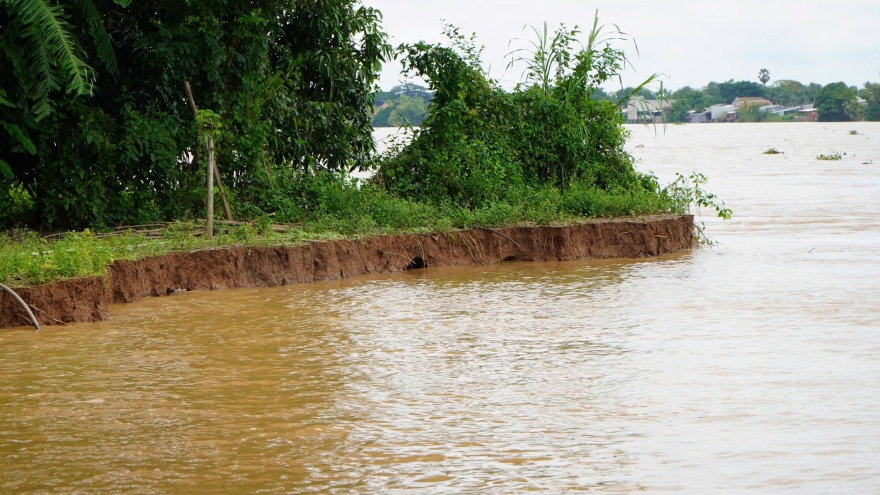 Đồng Tháp: Tiếp tục xảy ra sạt lở lớn ven sông Tiền, uy hiếp nhà ở của 11 hộ dân