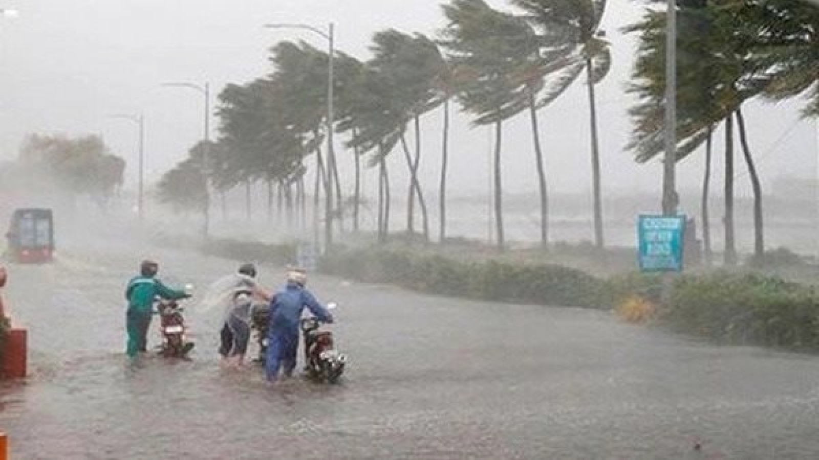 Từ đêm 22/10, miền Trung có mưa lớn kéo dài, nhiều nơi vượt 900mm
