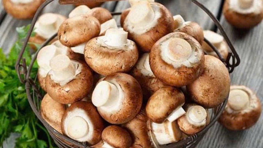 Khám phá sức hút của nấm - loại thực phẩm được ưa chuộng toàn cầu