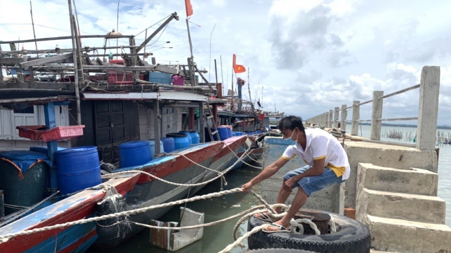 Bão số 12 cách đặc khu Hoàng Sa 380km, từ Đà Nẵng đến Quảng Ngãi có mưa to