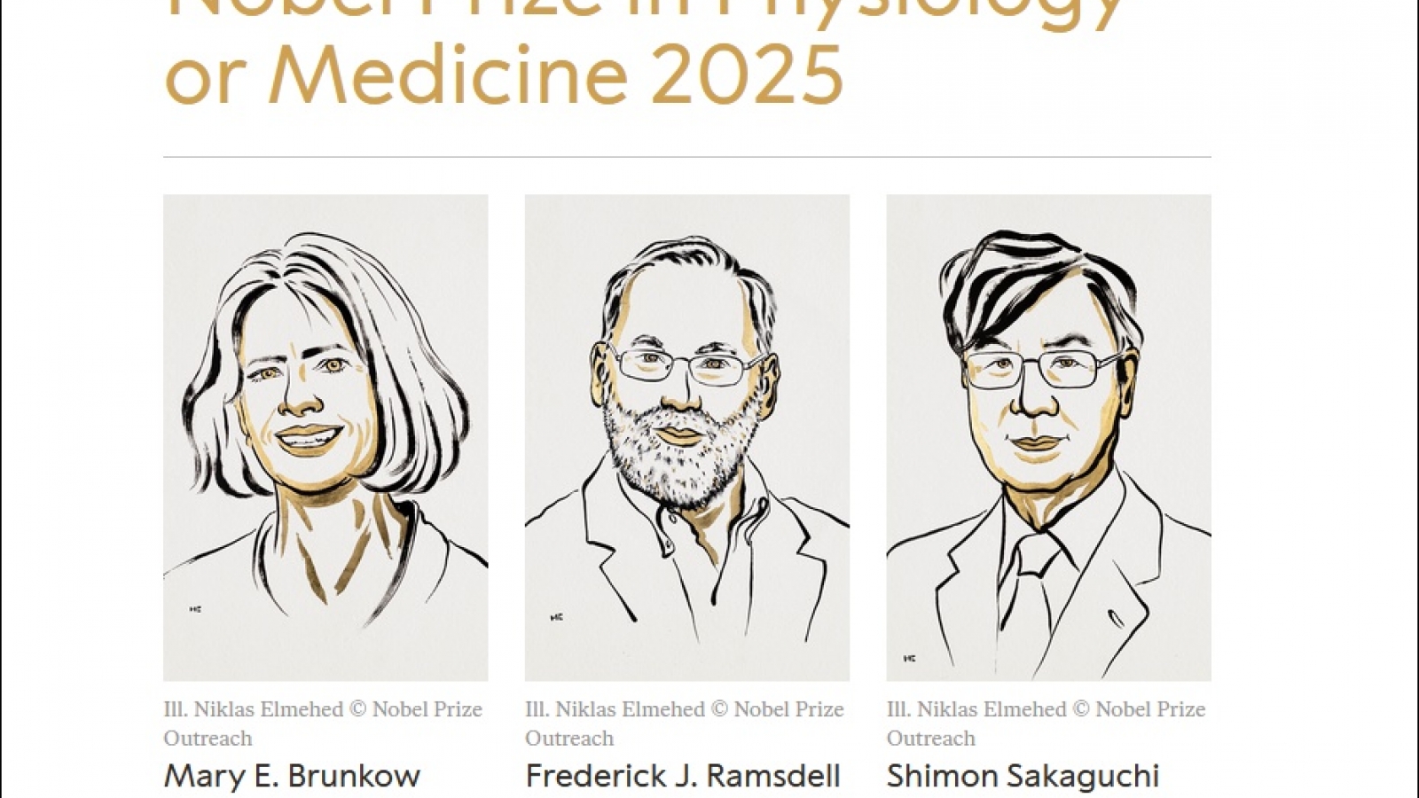 Nobel Y sinh 2025 vinh danh các nhà khoa học Mỹ và Nhật Bản về khám phá miễn dịch