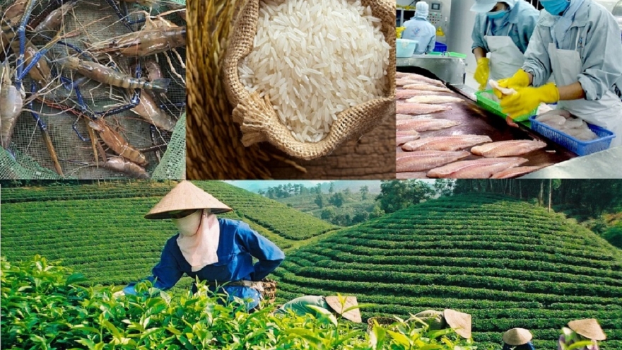 Nông sản Việt tăng tốc, hướng tới kỷ lục 70 tỷ USD xuất khẩu