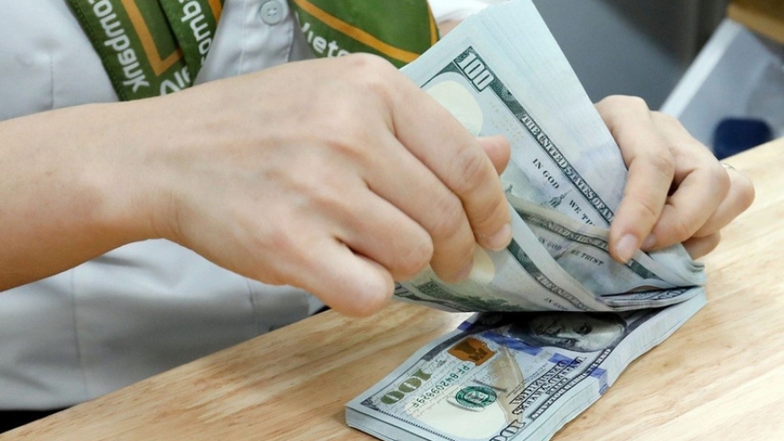 HCM City's steady remittance inflow reflects policy effectiveness