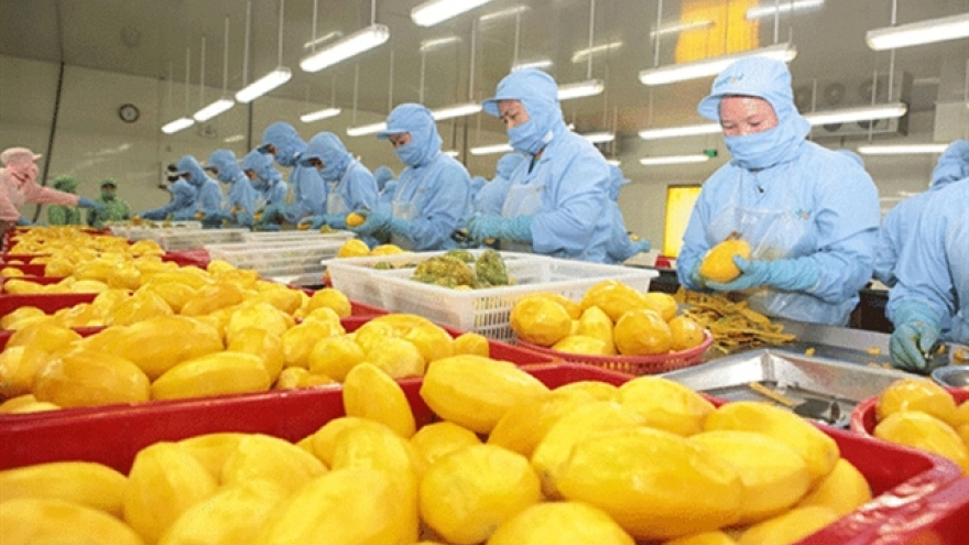 Nearly 4,000 codes of VN agricultural products approved to export to China