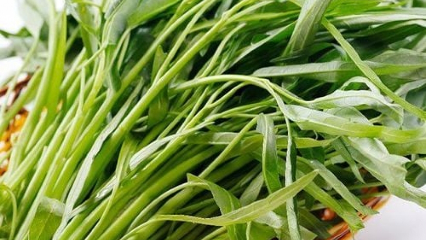 Rau muống - Món ăn dân dã với công dụng không ngờ