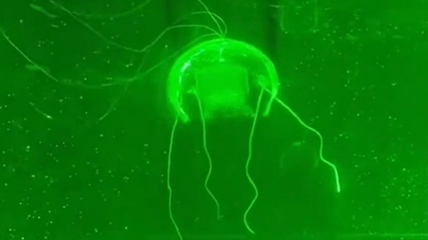 Trung Quốc phát triển robot “Âm hồn dưới nước” để thăm dò biển sâu