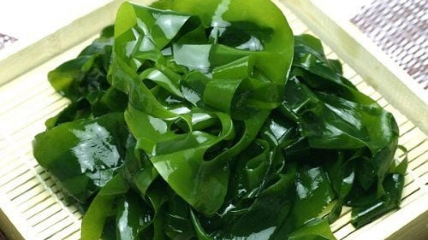 Rong biển - “siêu thực phẩm” từ đại dương tốt cho sức khỏe con người