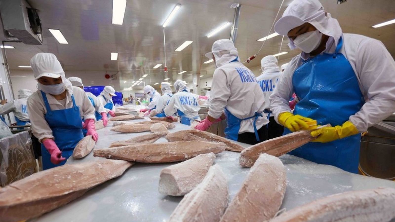 Vietnam’s seafood sector capitalises on FTAs