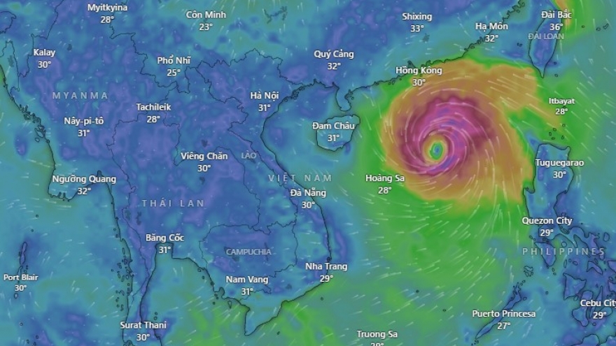 Bão số 11 sẽ đổ bộ vào địa phương nào của nước ta?