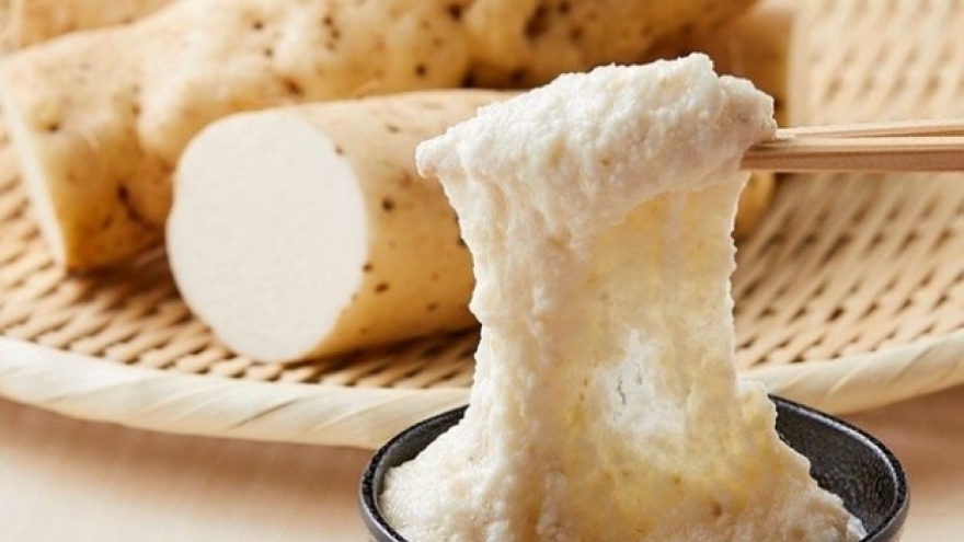 "Thuốc bổ tự nhiên" không trồng vẫn mọc đầy ở Việt Nam, ăn vào tốt đủ đường