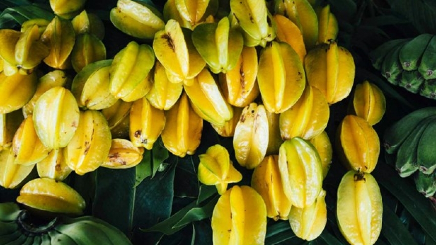 Loại quả được ví như "thuốc quý", không chăm vẫn mọc đầy vườn lại ít người biết