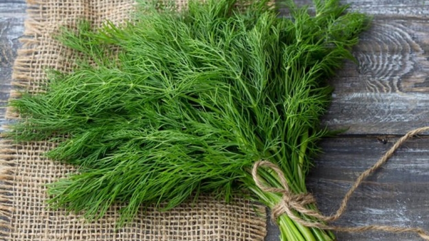 Loại rau thơm phức là dược liệu quý bán đầy chợ lại ít biết