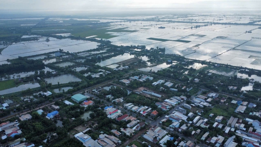 Lũ lên cao, hơn 4.000 ha lúa tại vùng Đồng Tháp Mười có nguy cơ bị ngập
