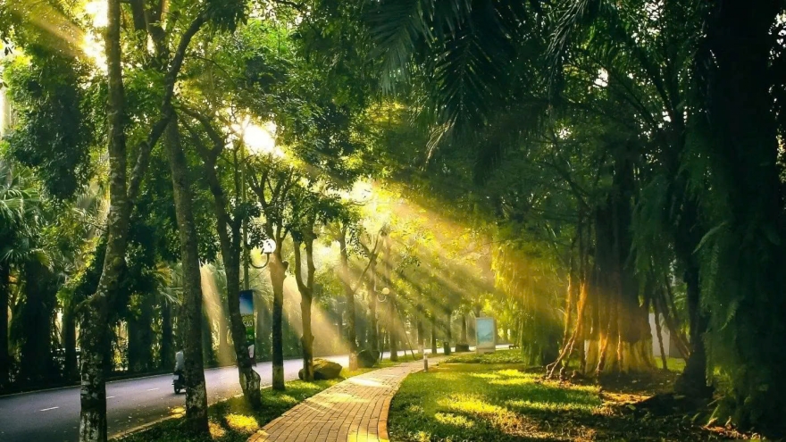 Thời tiết ngày mai 20/10: Bắc Bộ và Thanh Hóa ngày nắng, lạnh về đêm và sáng