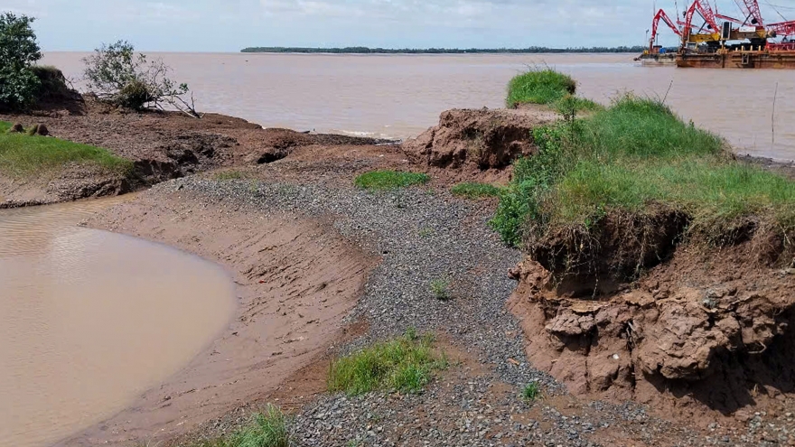 Công bố tình huống khẩn cấp sạt lở bờ biển tại xã Long Vĩnh, Vĩnh Long