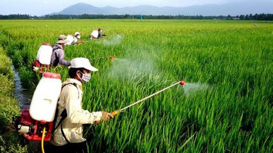 Danh mục thuốc bảo vệ thực vật được phép sử dụng và cấm sử dụng tại Việt Nam