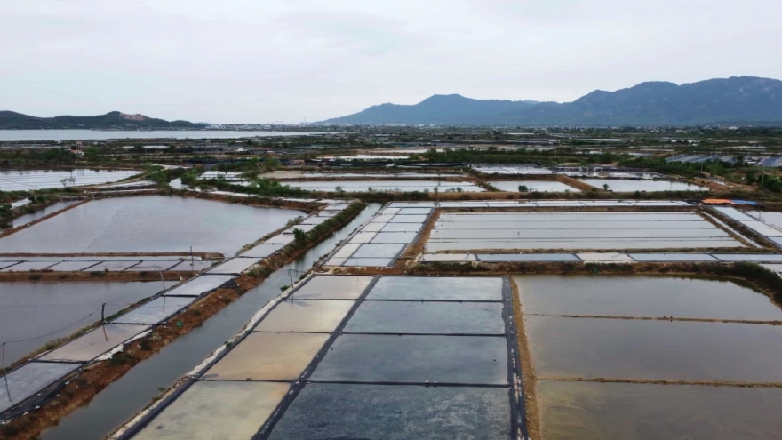 Thông báo thu hồi đất thực hiện dự án Khu công nghiệp Dốc Đá Trắng (lần 2)