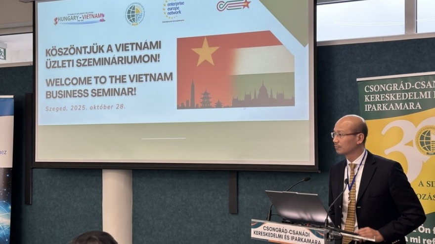 Vietnam, Hungary eye stronger trade, investment cooperation