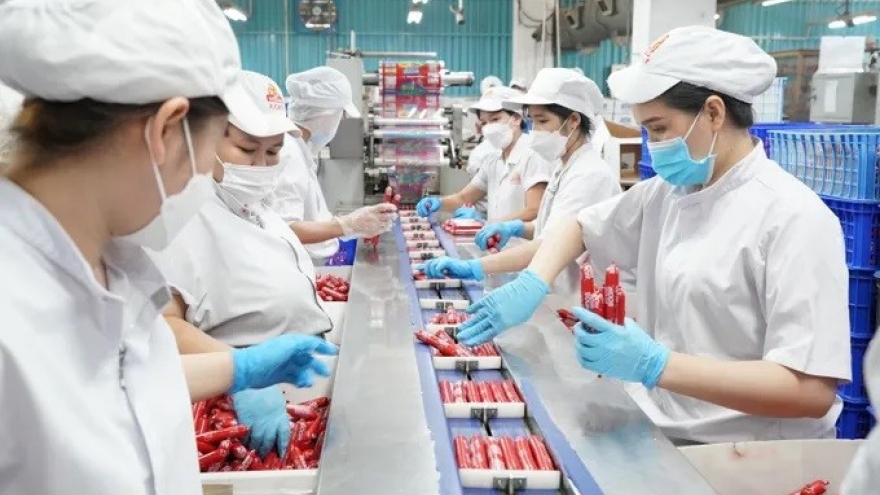 Vietnam on track to rank among world’s 30 largest economies