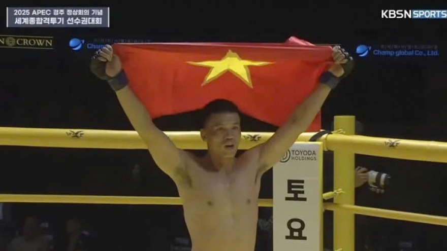 Vietnamese fighter wins gold at World MMA Competition