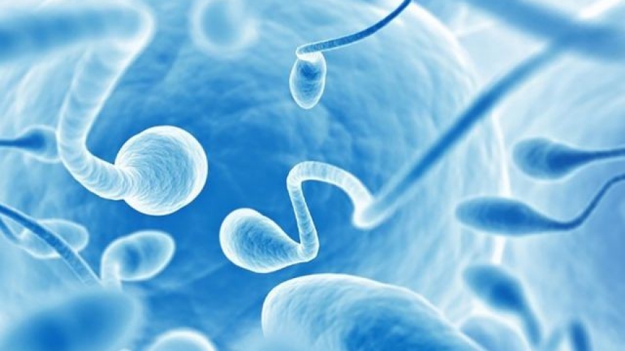 Những nghề nghiệp nào có thể gây nguy cơ vô sinh ở nam giới?