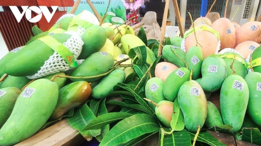 Vietnam climbs to fourth place among Taiwan’s fruit and vegetable suppliers