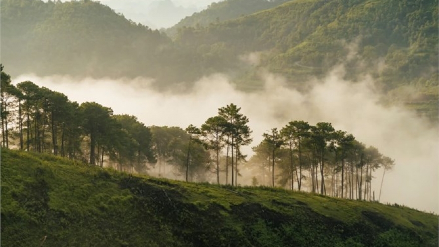 "Núi vỡ": Gieo neo nghề giáo nơi rừng sâu núi thẳm