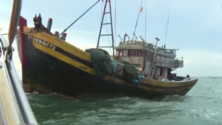 Đề xuất xử phạt 100 triệu đồng đối với 2 tàu giã cào sai tuyến ở Lâm Đồng