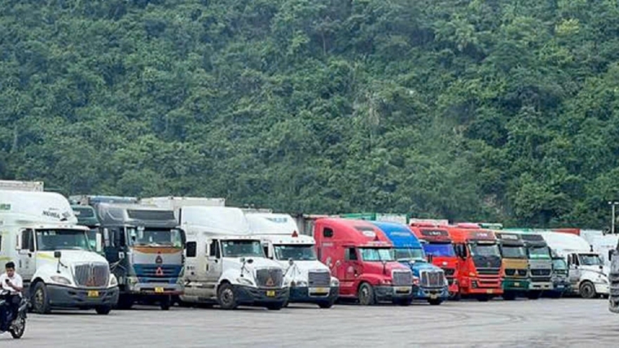 Hết kẹt tiêu chuẩn lại kẹt phòng xét nghiệm - sầu riêng bao giờ hết... kẹt?